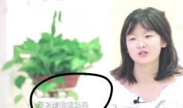 哪个吧的娱乐圈爆料可靠,哪个吧独家爆料，明星幕后真相大曝光